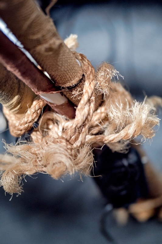 Peuplier et les cailloux secs