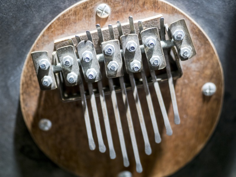 Peuplier et les cailloux secs