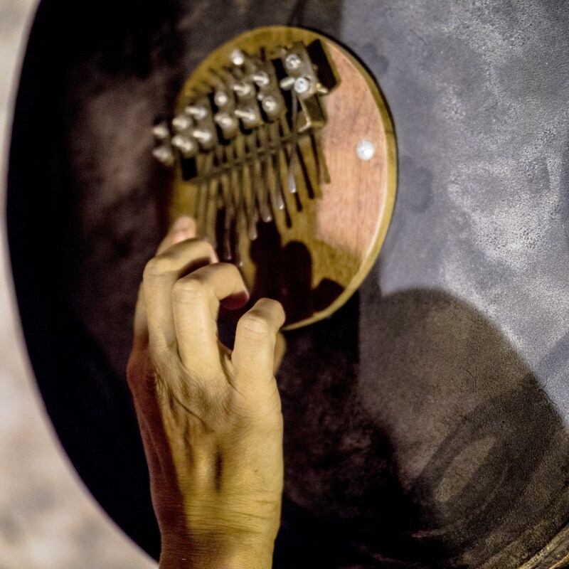 Peuplier et les cailloux secs