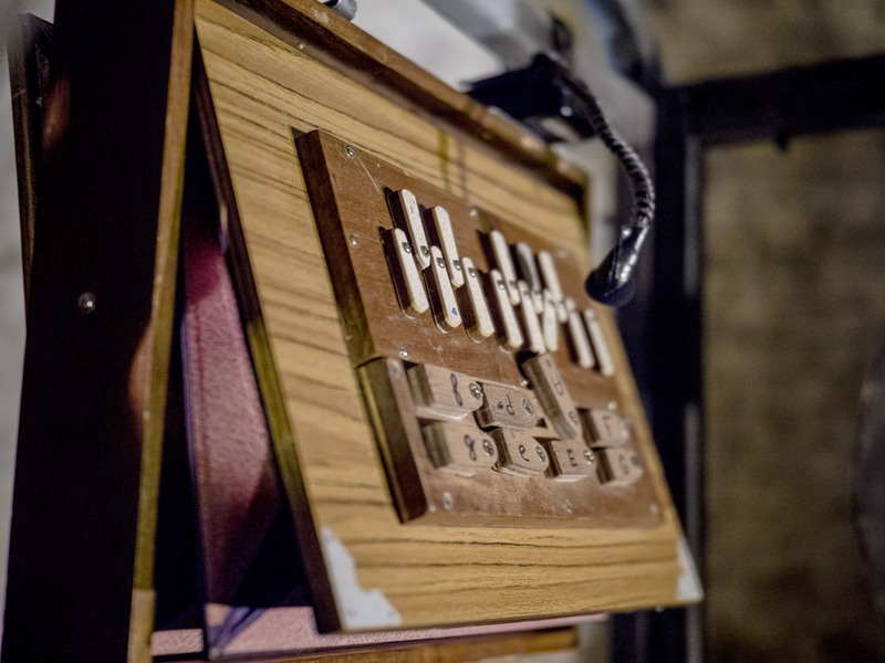 Peuplier et les cailloux secs