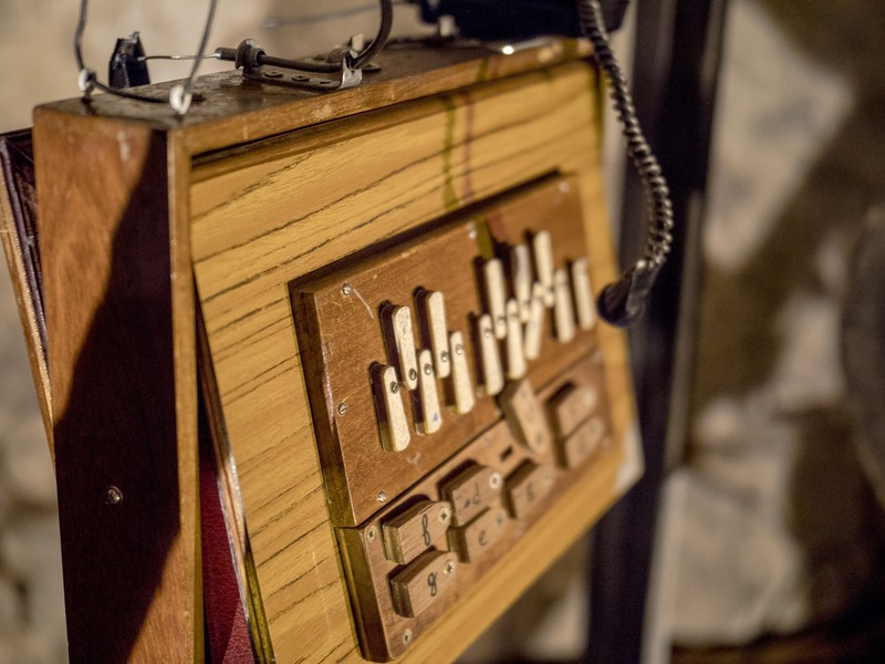 Peuplier et les cailloux secs